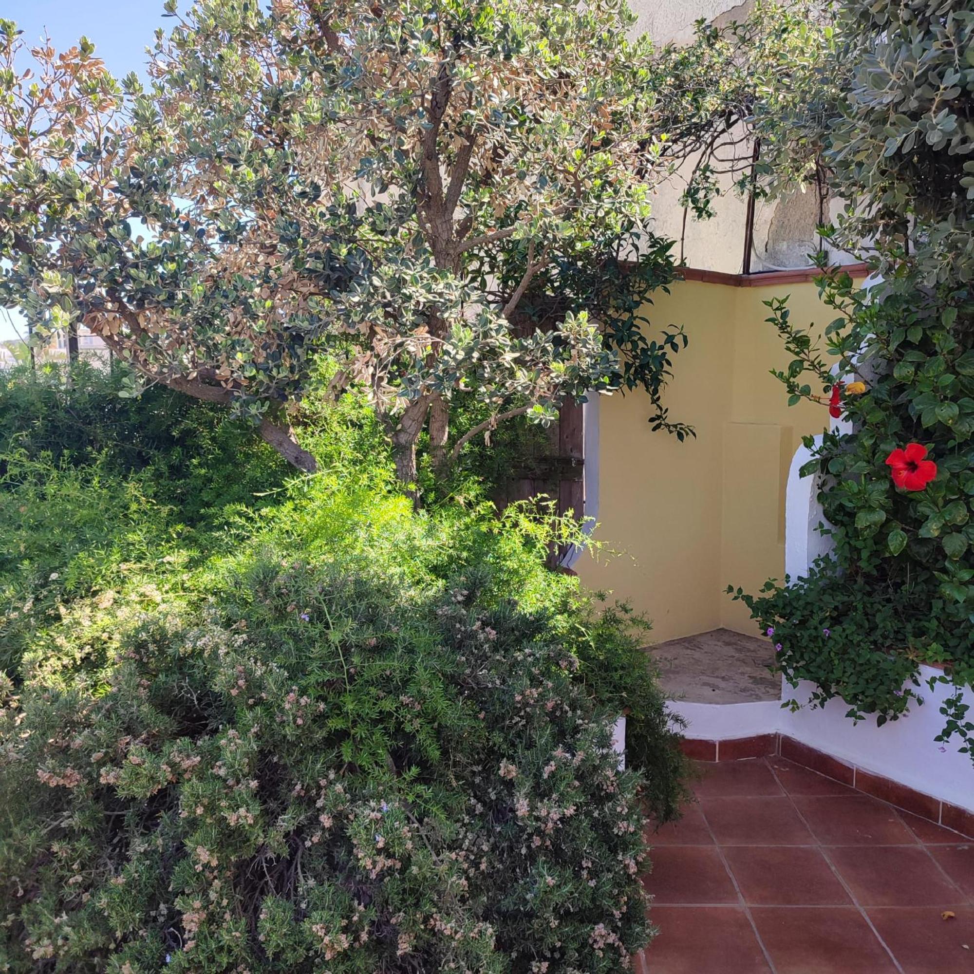 Hotel Villa Verde Форио Экстерьер фото