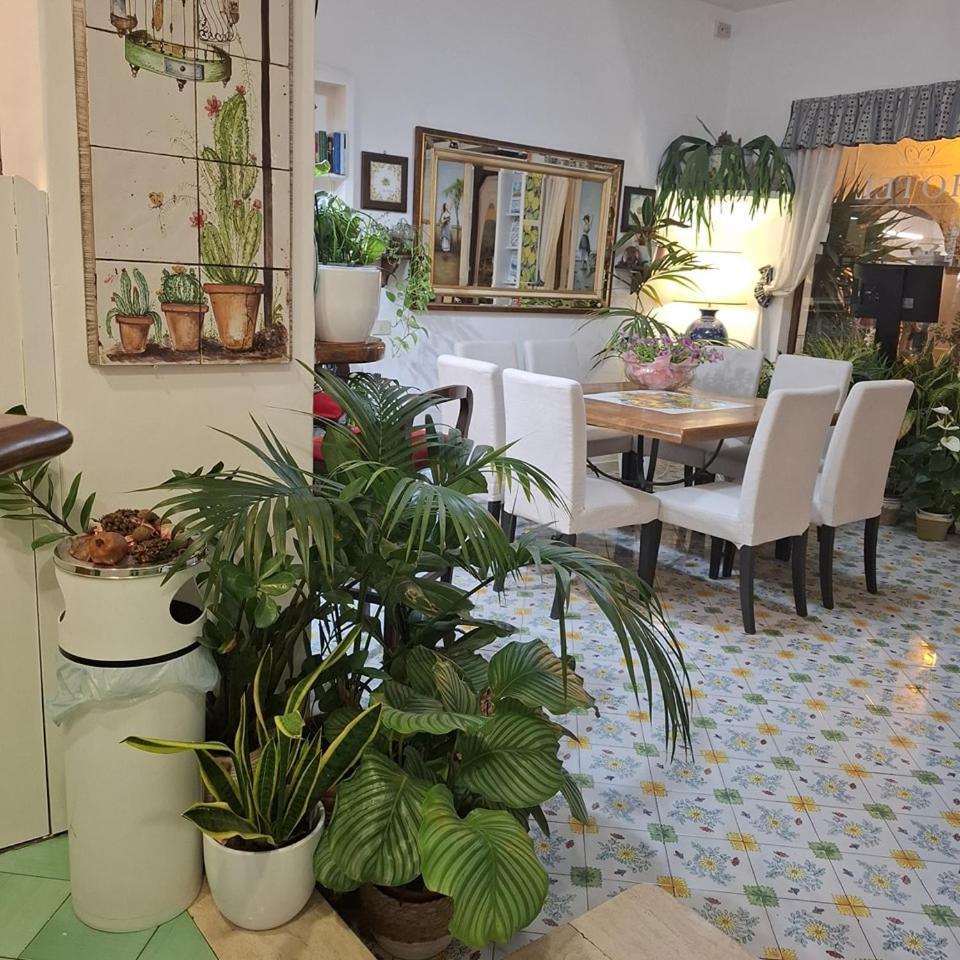 Hotel Villa Verde Форио Экстерьер фото